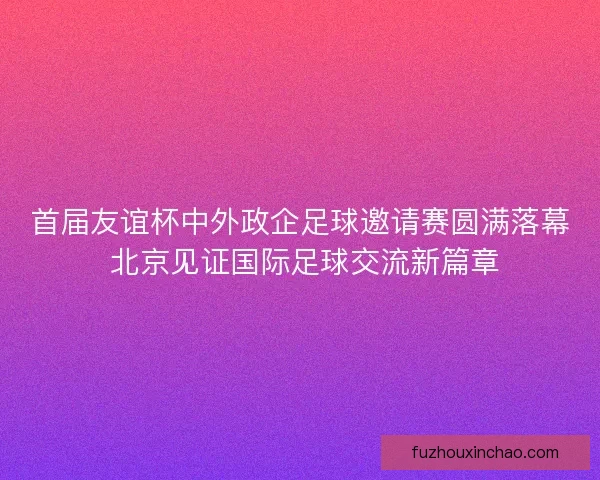 首届友谊杯中外政企足球邀请赛圆满落幕 北京见证国际足球交流新篇章