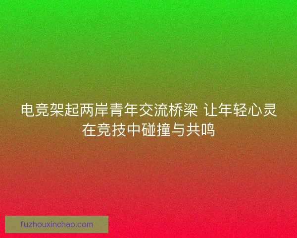 电竞架起两岸青年交流桥梁 让年轻心灵在竞技中碰撞与共鸣